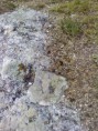 /album/krjepost-na-gorje-krym-/a0-8a7ac-27432425-l-jpg/