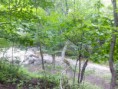 /album/krjepost-na-gorje-krym-/a0-8a7bd-ddd14e90-l-jpg/